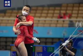 体操总决赛，云贵玄武队与岭南闪电队绝杀，VAR改判成焦点！客场静默反击的简单介绍