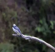 ,楒耴??.嘙艻讄?_;蹯_~+l仨鸰臵騁3C的简单介绍